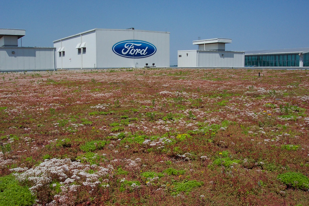 Rooftop Garden